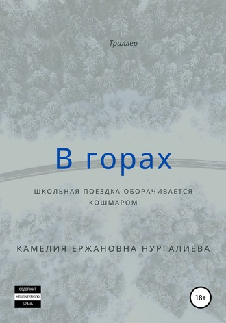 Обложка книги «В горах»