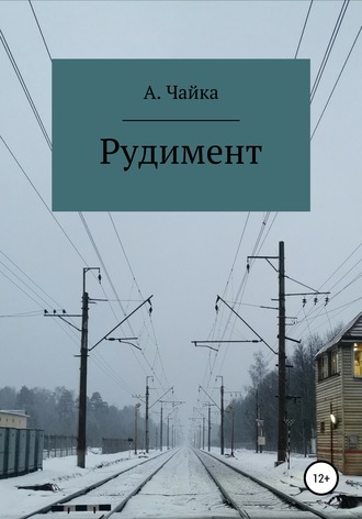 Обложка книги «Рудимент»
