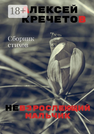 Обложка книги «Невзрослеющий мальчик»