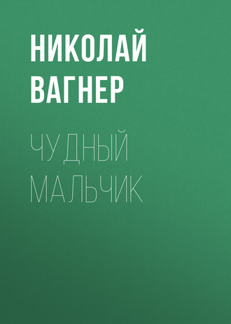 Обложка книги «Чудный мальчик»
