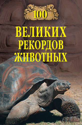 Обложка книги «100 великих рекордов животных»