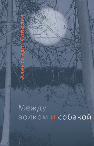 Обложка книги «Между волком и собакой»