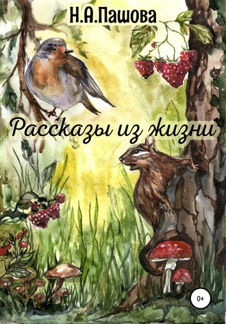Обложка книги «Рассказы из жизни»
