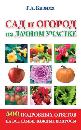 Галина Кизима. Сад и огород на дачном участке. 500 подробных ответов на все самые важные вопросы