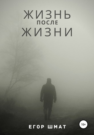 Обложка книги «Жизнь после Жизни»