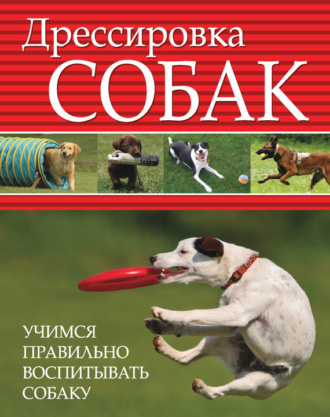 Обложка книги «Дрессировка собак. Учимся правильно воспитывать собаку»