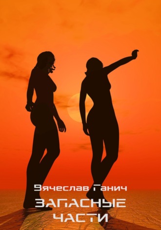 Вячеслав Ганич. Запасные части