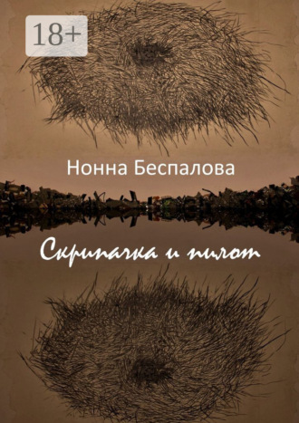 Обложка книги «Скрипачка и Пилот, или На двух берегах»