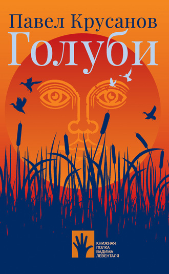 Обложка книги «Голуби»