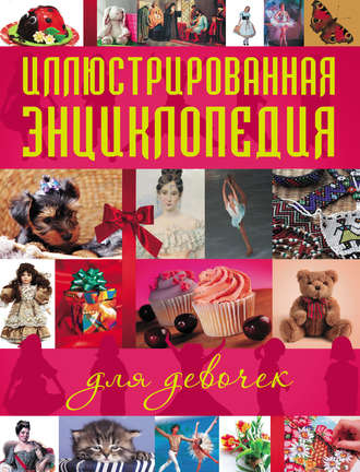 Обложка книги «Иллюстрированная энциклопедия для девочек»