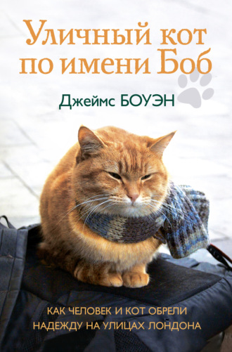 Обложка книги «Уличный кот по имени Боб. Как человек и кот обрели надежду на улицах Лондона»