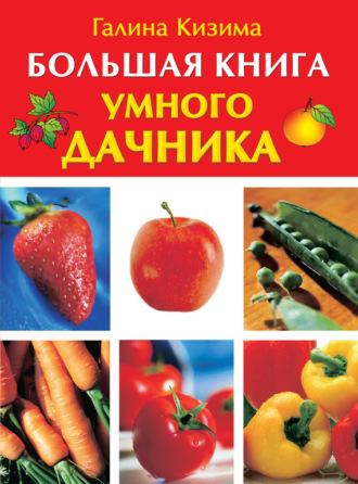 Галина Кизима. Большая книга умного дачника