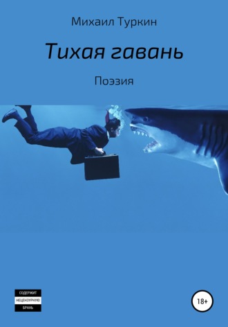 Михаил Борисович Туркин. Тихая гавань