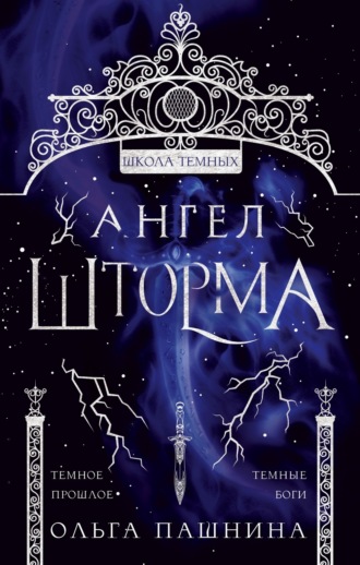 Обложка книги «Школа темных. Ангел шторма»