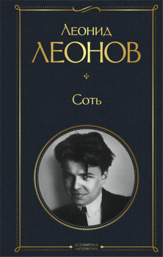 Обложка книги «Соть»