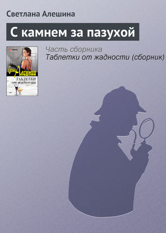 Обложка книги «С камнем за пазухой»