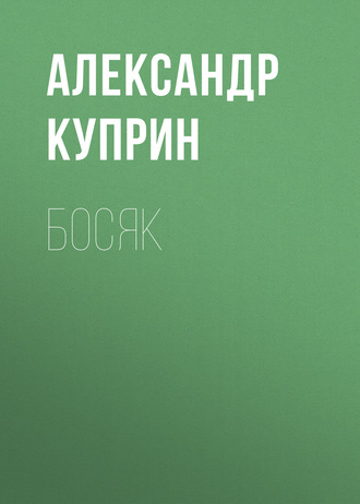 Обложка книги «Босяк»