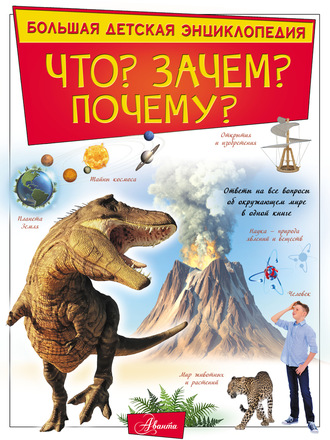 Обложка книги «Что? Зачем? Почему?»