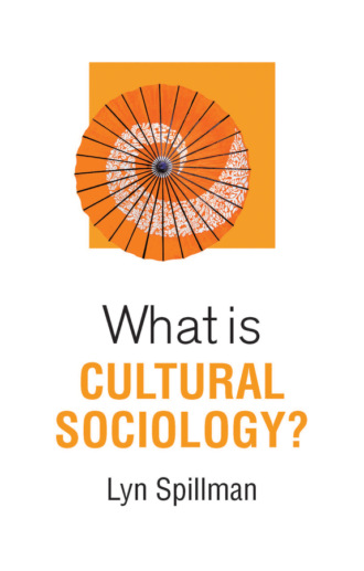 Lyn Spillman. What is Cultural Sociology?