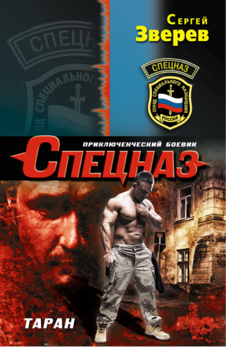 Обложка книги «Таран»