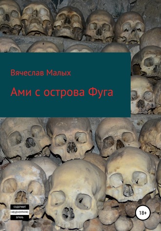 Обложка книги «Ами с острова Фуга»