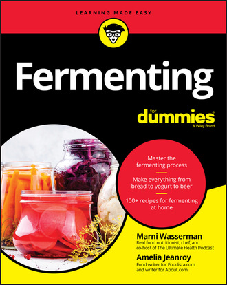 Marni  Wasserman. Fermenting For Dummies