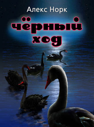 Обложка книги «Черный ход»