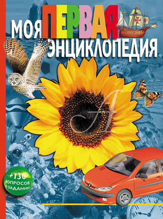 Обложка книги «Моя первая энциклопедия»