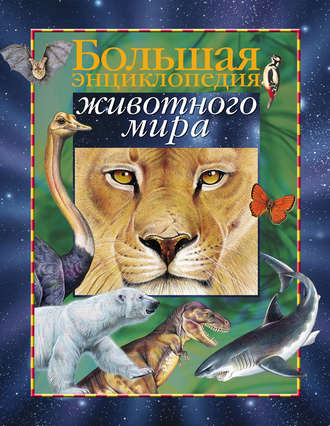 Обложка книги «Большая энциклопедия животного мира»