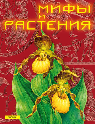 Обложка книги «Мифы и растения»