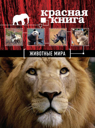 Обложка книги «Красная книга. Животные мира»