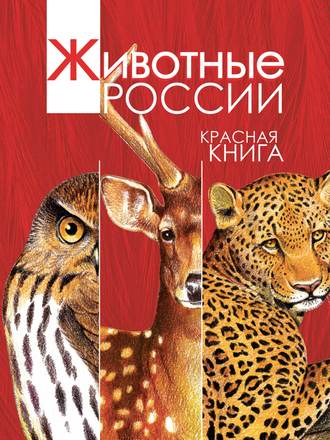 Обложка книги «Животные России. Красная книга»