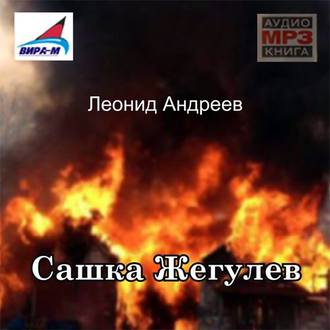 Обложка книги «Сашка Жегулев»