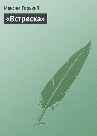 Обложка книги ««Встряска»»