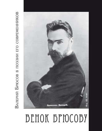 Обложка книги «Венок Брюсову. Валерий Брюсов в поэзии его современников»