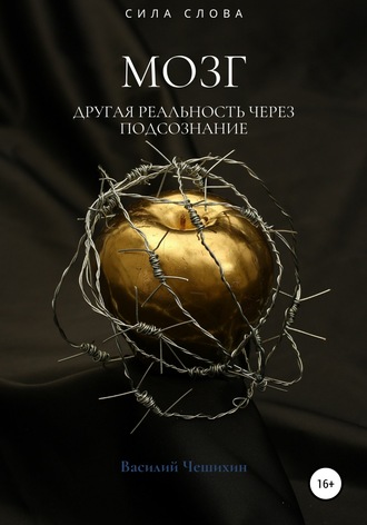 Обложка книги «Мозг»