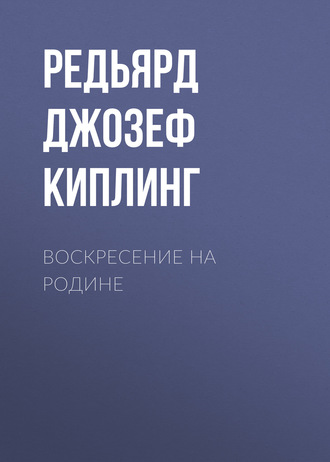 Обложка книги «Воскресение на родине»