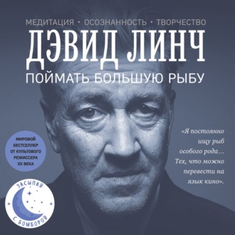 Обложка книги «Поймать большую рыбу. Медитация, осознанность, творчество»