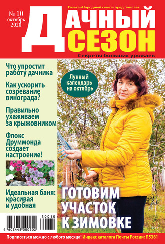 Обложка книги «Дачный сезон №10/2020»