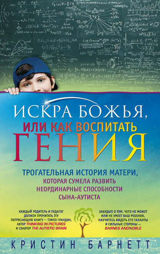 Кристин Барнетт. Искра Божья, или Как воспитать гения