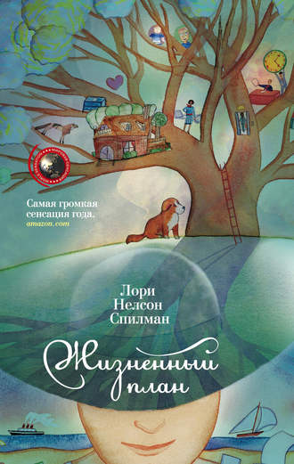 Обложка книги «Жизненный план»