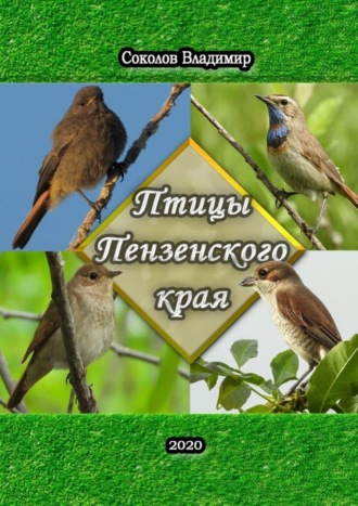 Обложка книги «Птицы Пензенского края. Или моя первая фотовыставка»