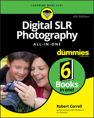 Robert Correll. Digital SLR Photography All-in-One For Dummies