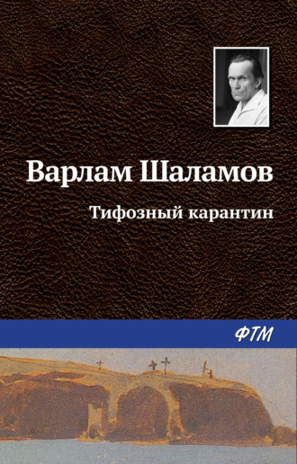Обложка книги «Тифозный карантин»