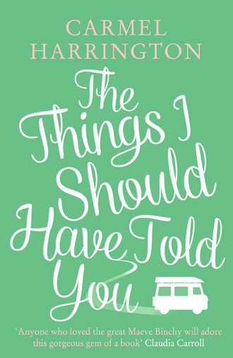 Carmel  Harrington. The Things I Should Have Told You