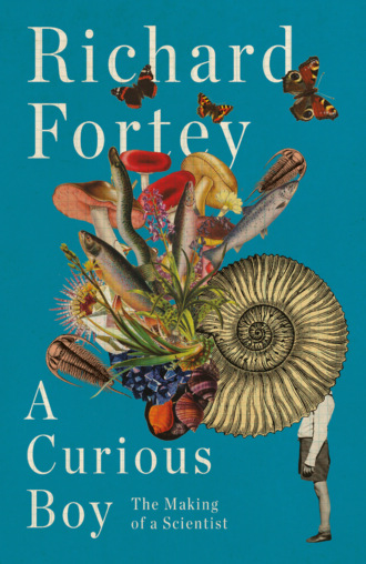 Richard  Fortey. A Curious Boy