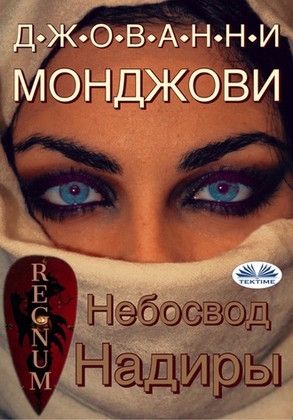 Обложка книги «Небосвод Надиры»