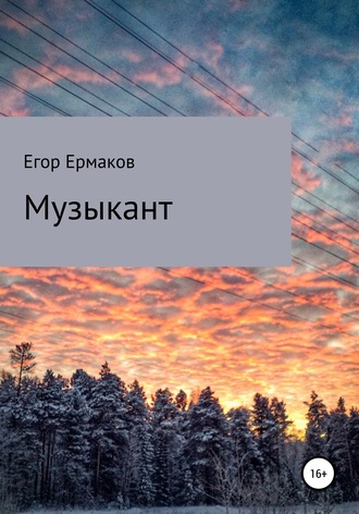Обложка книги «Музыкант»