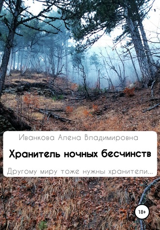 Обложка книги «Хранитель ночных бесчинств»