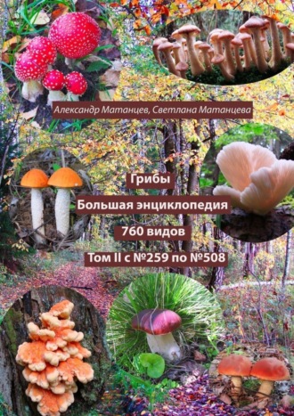 Обложка книги «Грибы. Большая энциклопедия. 760 видов. Том II с №259 по №508»